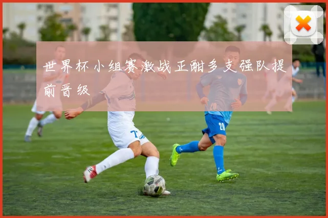 世界杯小组赛激战正酣多支强队提前晋级