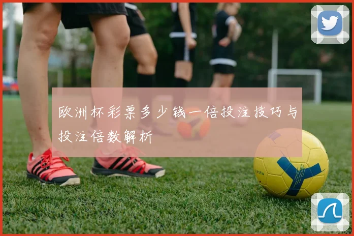 欧洲杯彩票多少钱一倍投注技巧与投注倍数解析