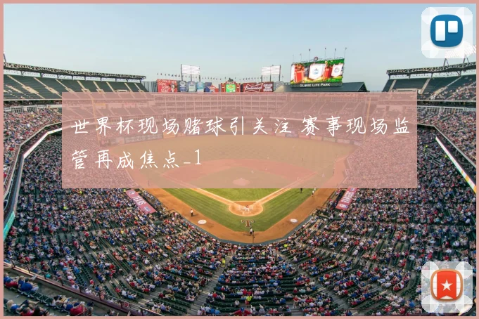 世界杯现场赌球引关注 赛事现场监管再成焦点_1